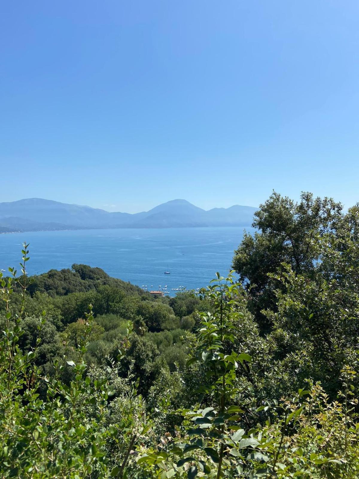 Maison Du Reve Scario Eksteriør bilde